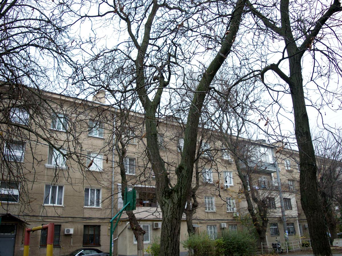 Фото будинку