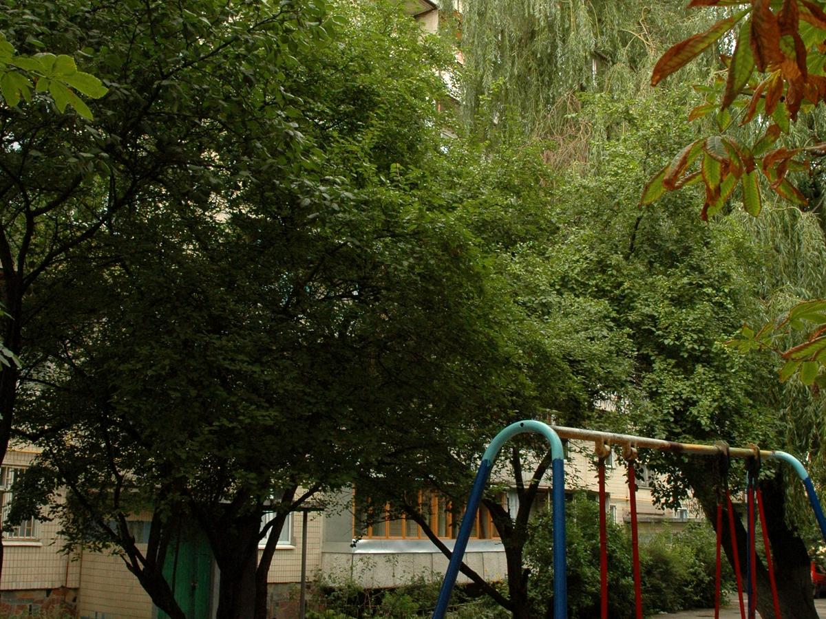 Фото будинку