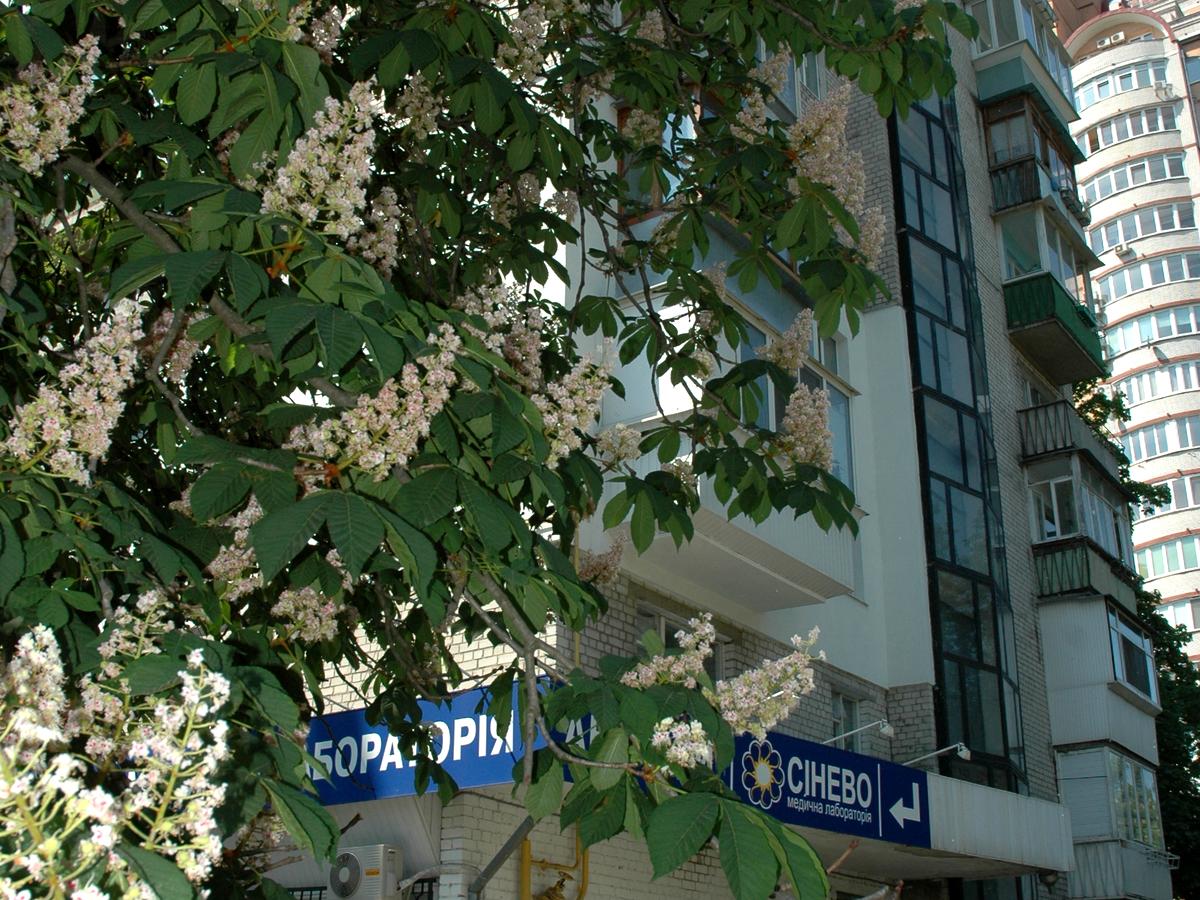 Фото дома