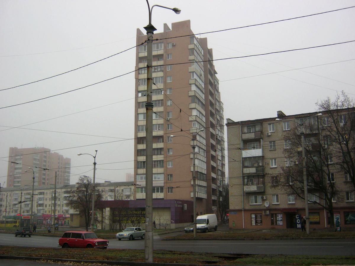 Фото будинку