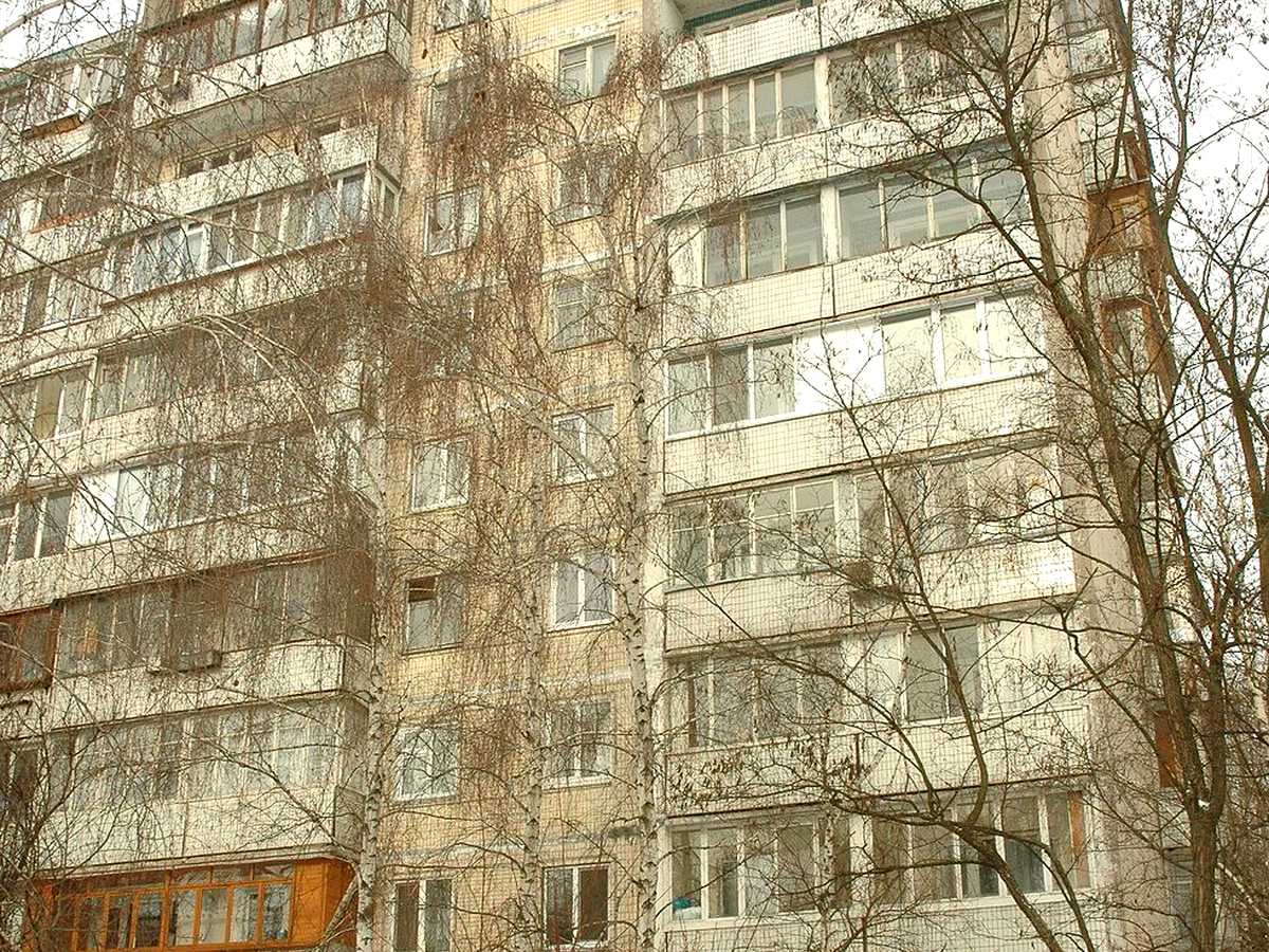 Фото будинку
