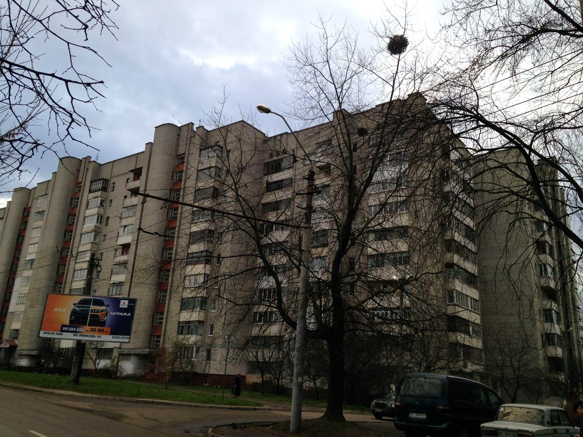 Фото будинку