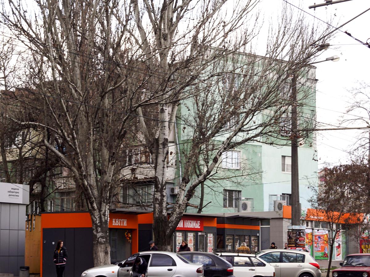 Фото будинку