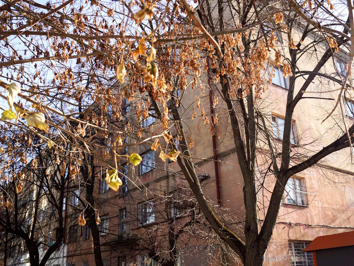 Фото будинку