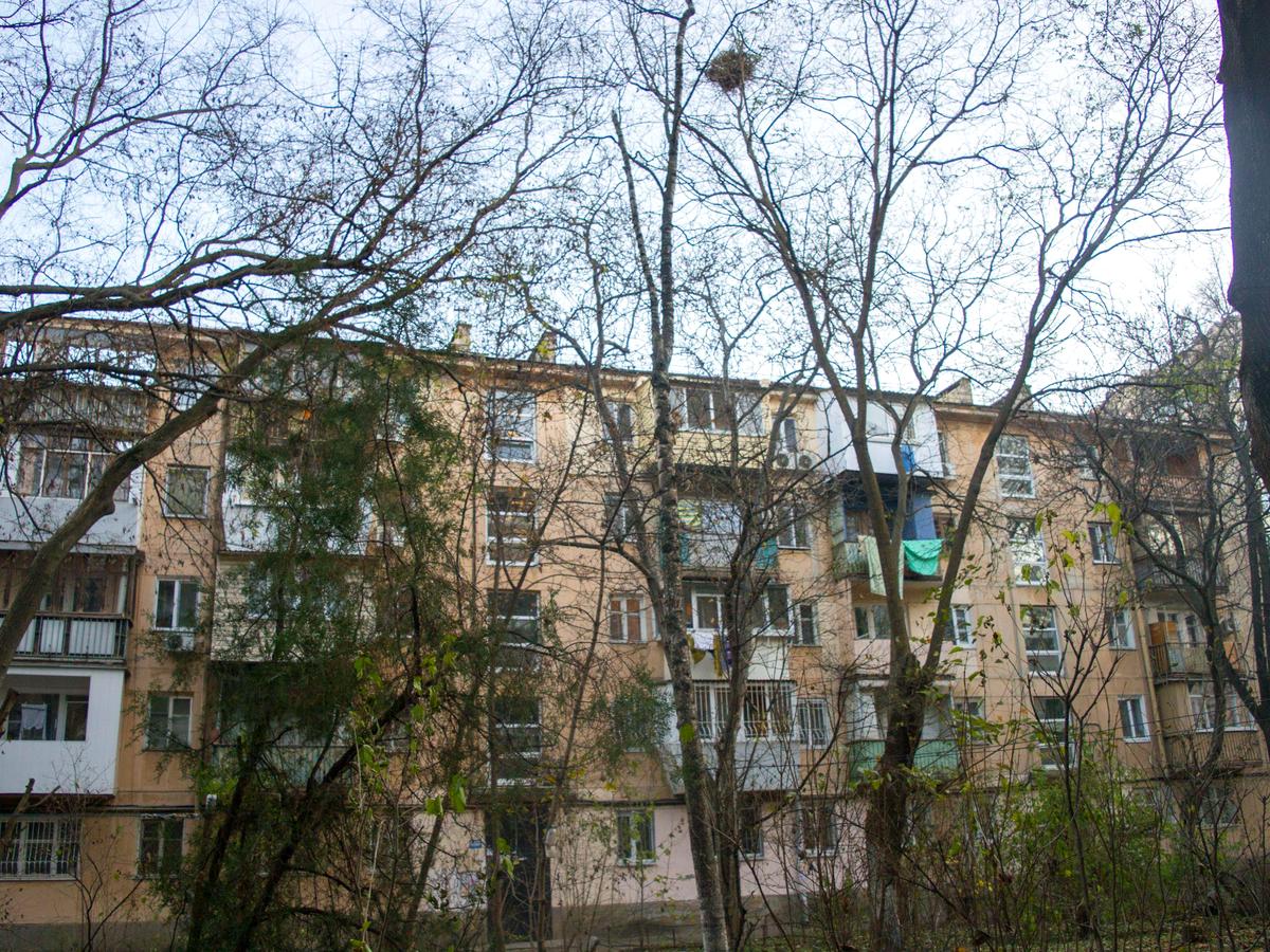 2-кімнатна квартира за адресою Ботанічний пров. (площа 43 м²) - фото 14 2-кімнатна квартира за адресою Ботанічний пров. (площа 43 м²) - Atlanta.ua - фото 14