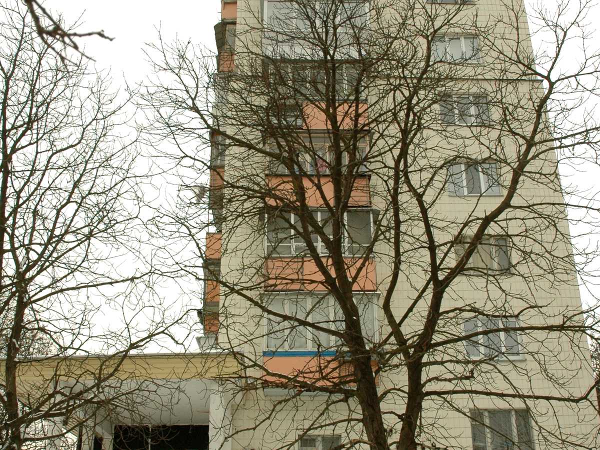 Фото будинку
