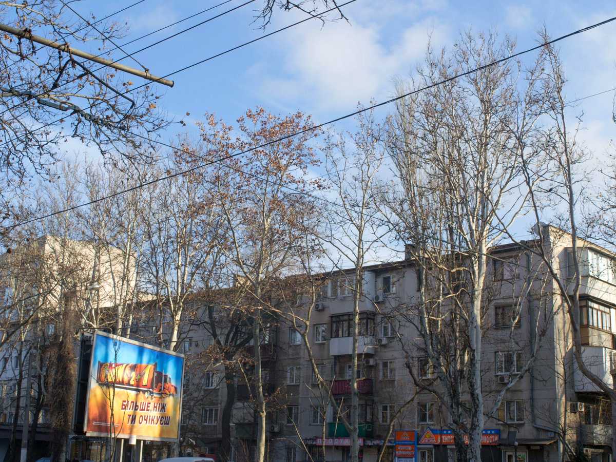 Фото дома