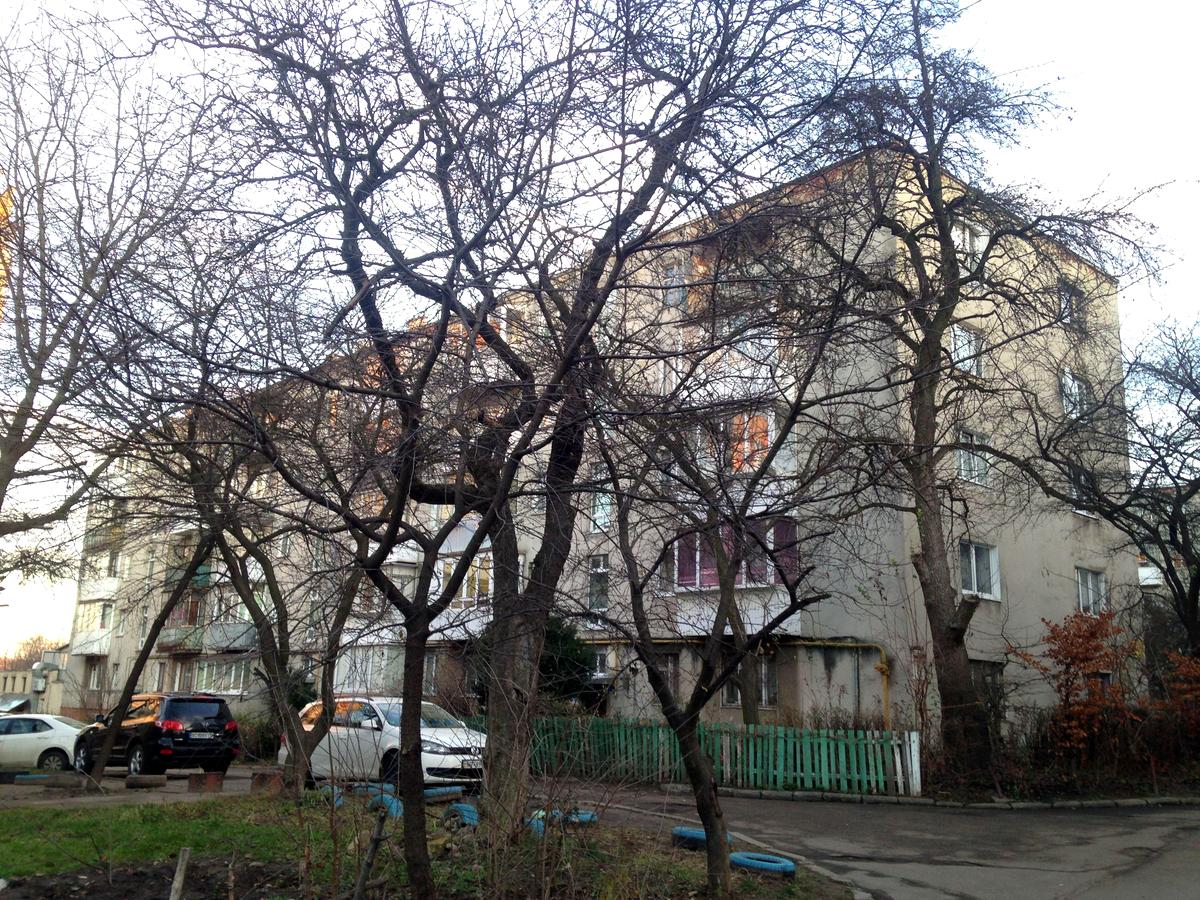 Фото будинку