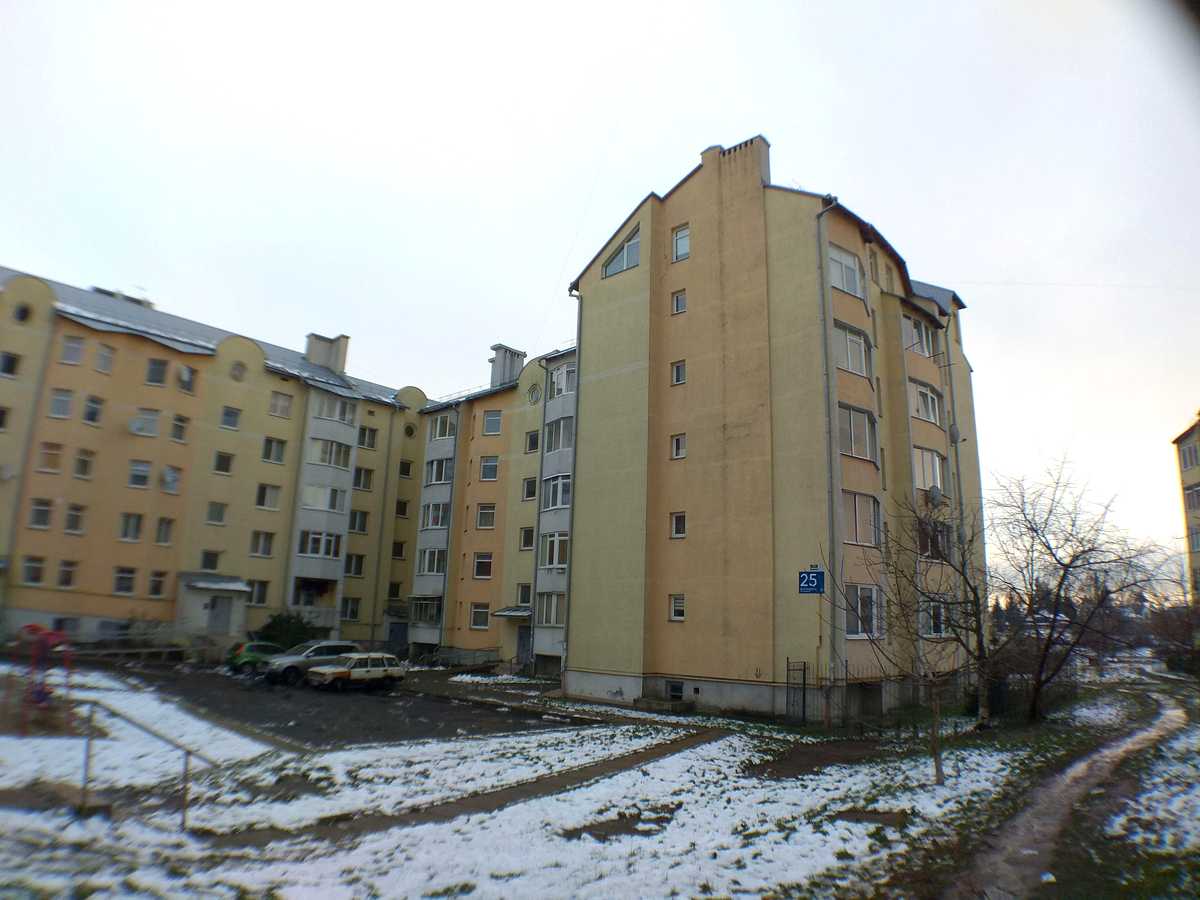 Фото будинку