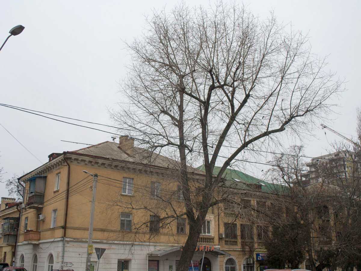 Фото дома