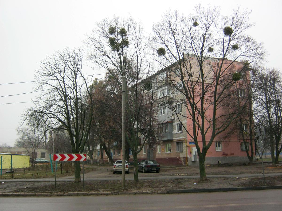 Фото дома