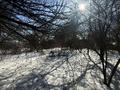 ділянка за адресою Шевченка вул., 48