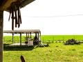 ділянка за адресою с. Миколаївка,