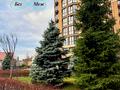 квартира за адресою Мартинова просп., 38