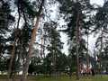 квартира за адресою Свободи просп. (60-річчя Жовтня), 26/41