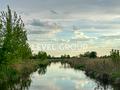 ділянка за адресою с. Нові Безрадичі, Київська