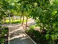 комерційна за адресою Шевченка вул., 2-Г