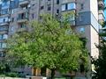 квартира за адресою Качалова вул., 42