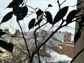 квартира за адресою Леоніда Глібова вул., 10