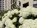 квартира за адресою Сумгаїтська вул., (Будинок)
