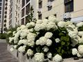 квартира за адресою Сумгаїтська вул., (Будинок)