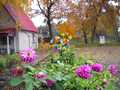 будинок за адресою с. Бірки, Молодіжна, 7