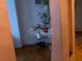 квартира за адресою Кричевського вул., 41