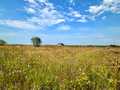 участок по адресу проектна