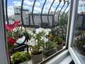 квартира за адресою Злуки просп., 8
