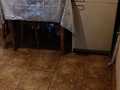 квартира за адресою Олени Теліги вул., 27-А