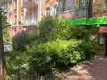 комерційна за адресою Богдана Хмельницького вул., 84