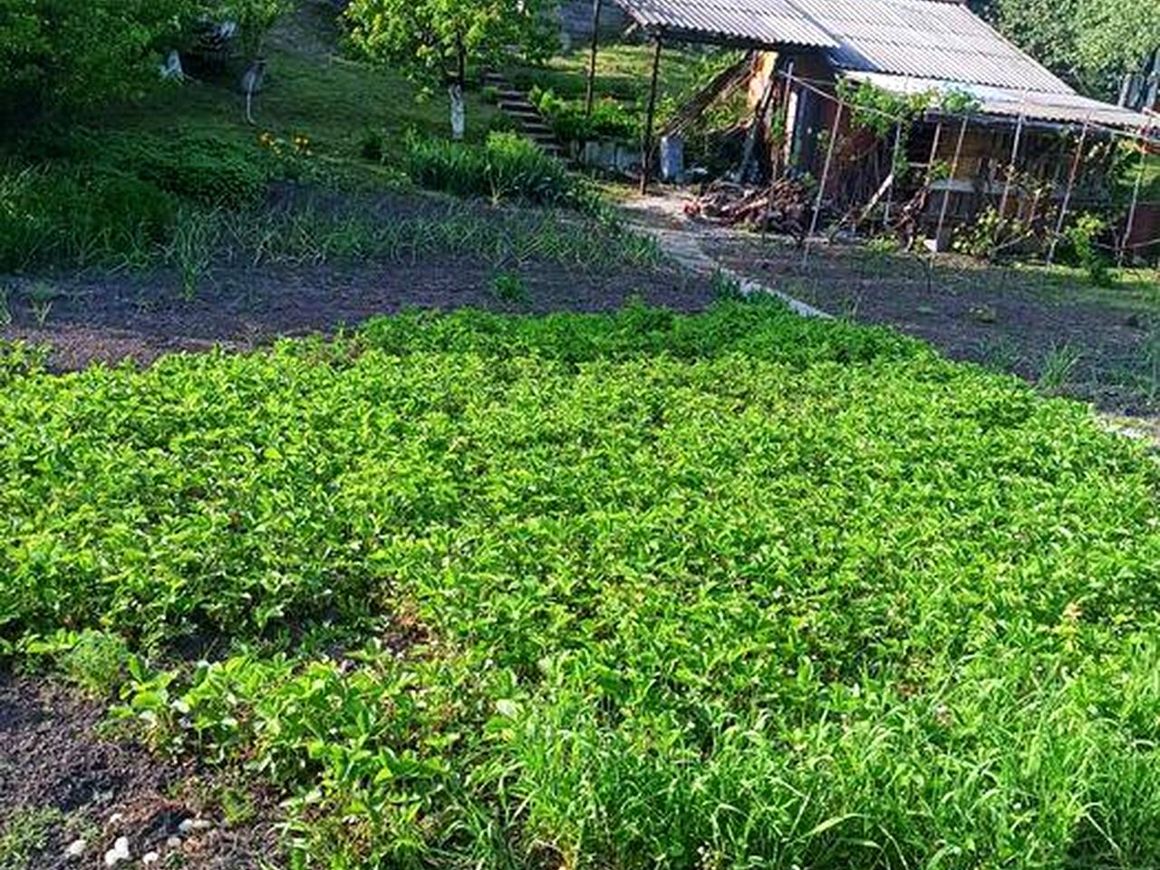 Продам Садовий будинок з земельною ділянкою