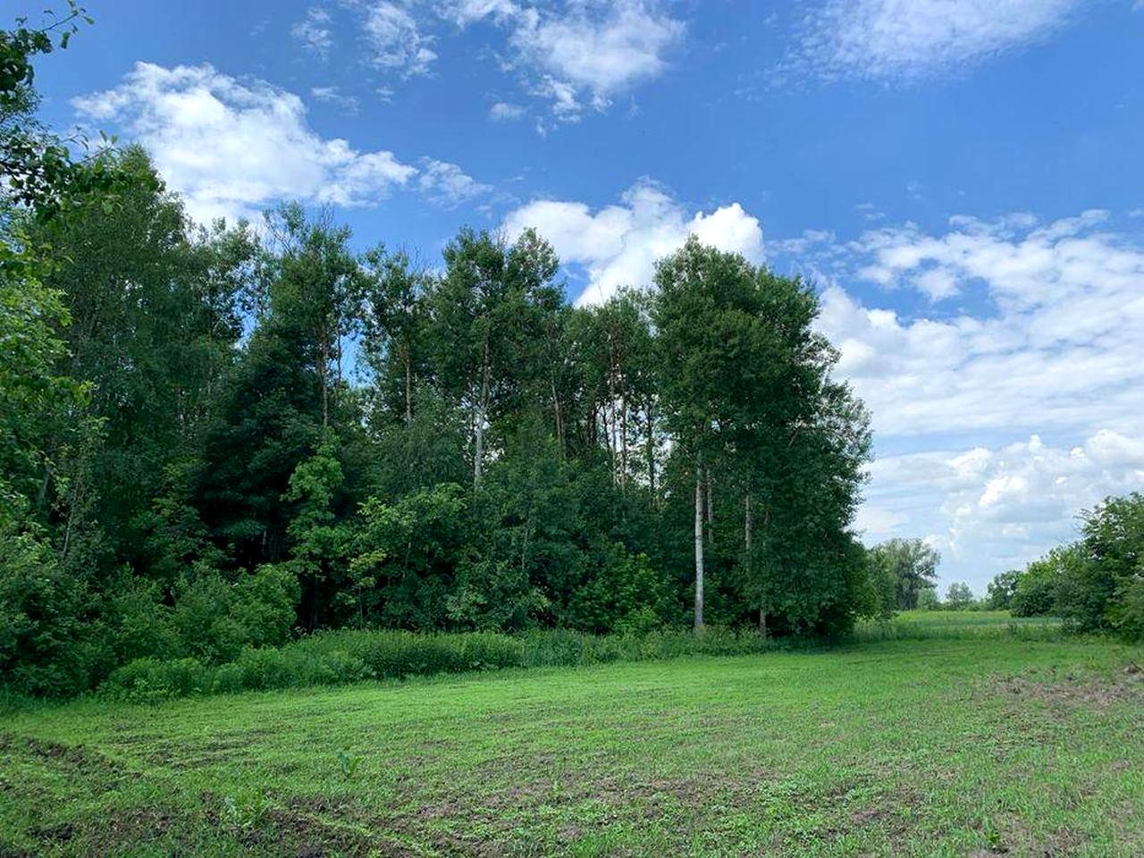 Продам дачу в м. Ніжин (будинок + 49,6 сотих землі)