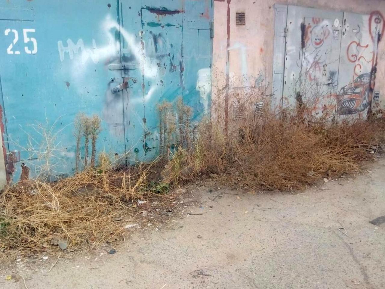 Загородня вул., 7
