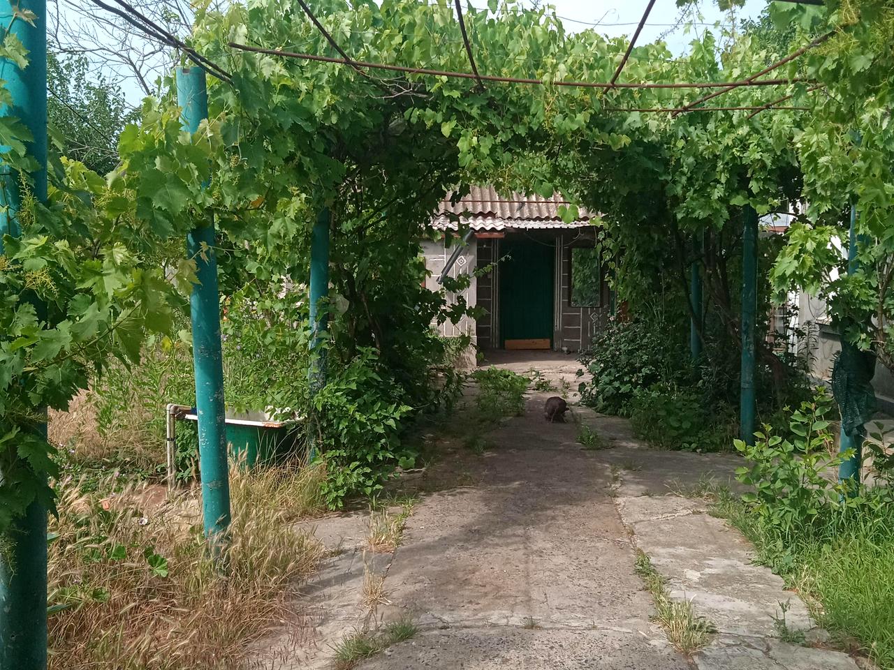 будинок, 50.0 м²