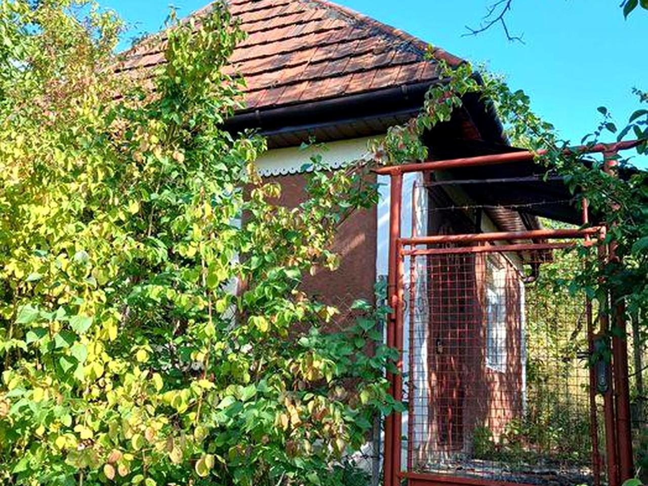Дача біля термального басейну в Берегові з садовою ділянкою 6.5 соток