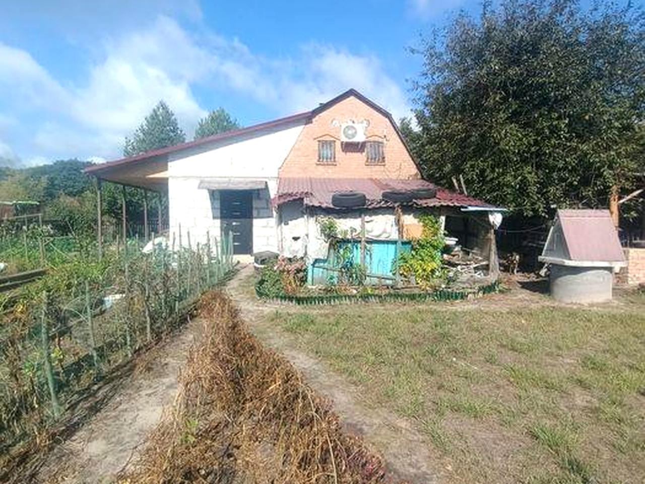 2 поверхи + камін, криниця, душ, туалет, кондиціонери