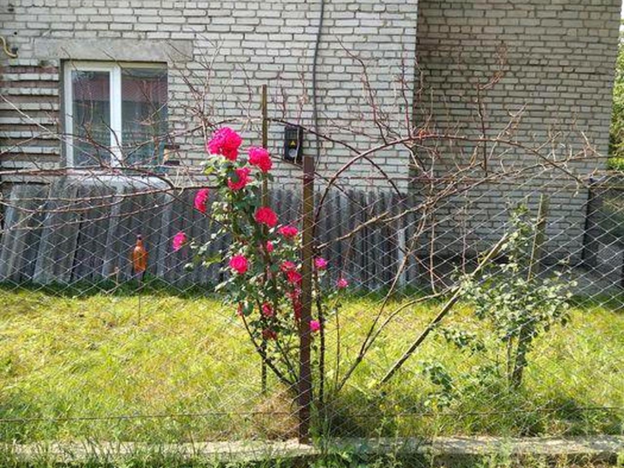 Продаж будинку м.Яворів вул.Маковея 40А