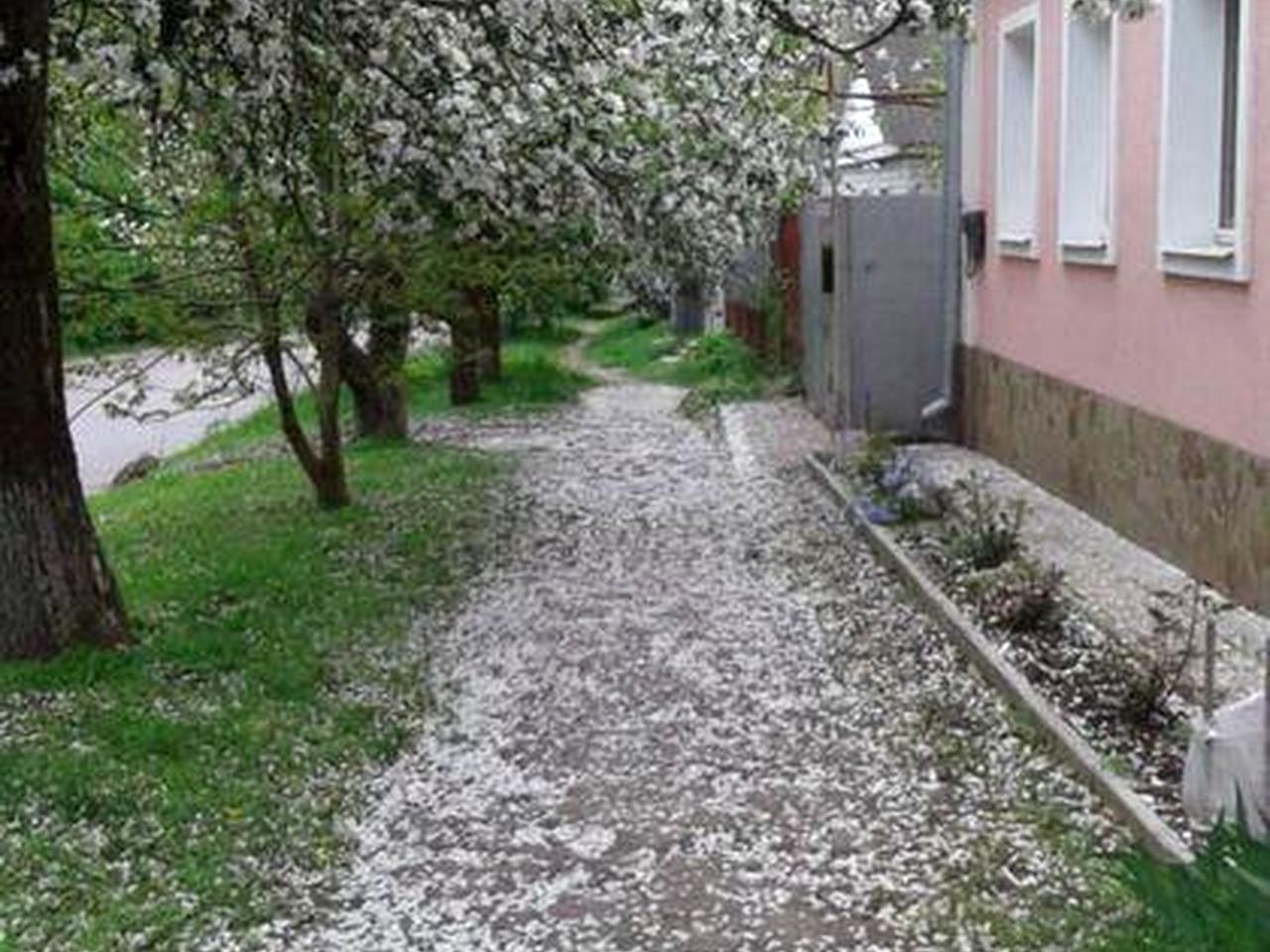 Продам затишний будинок зі свідим ремонтом