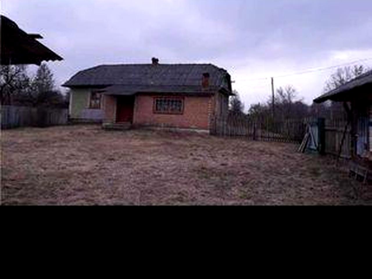 Будинок ліс природа ставок річка гриби чорниці