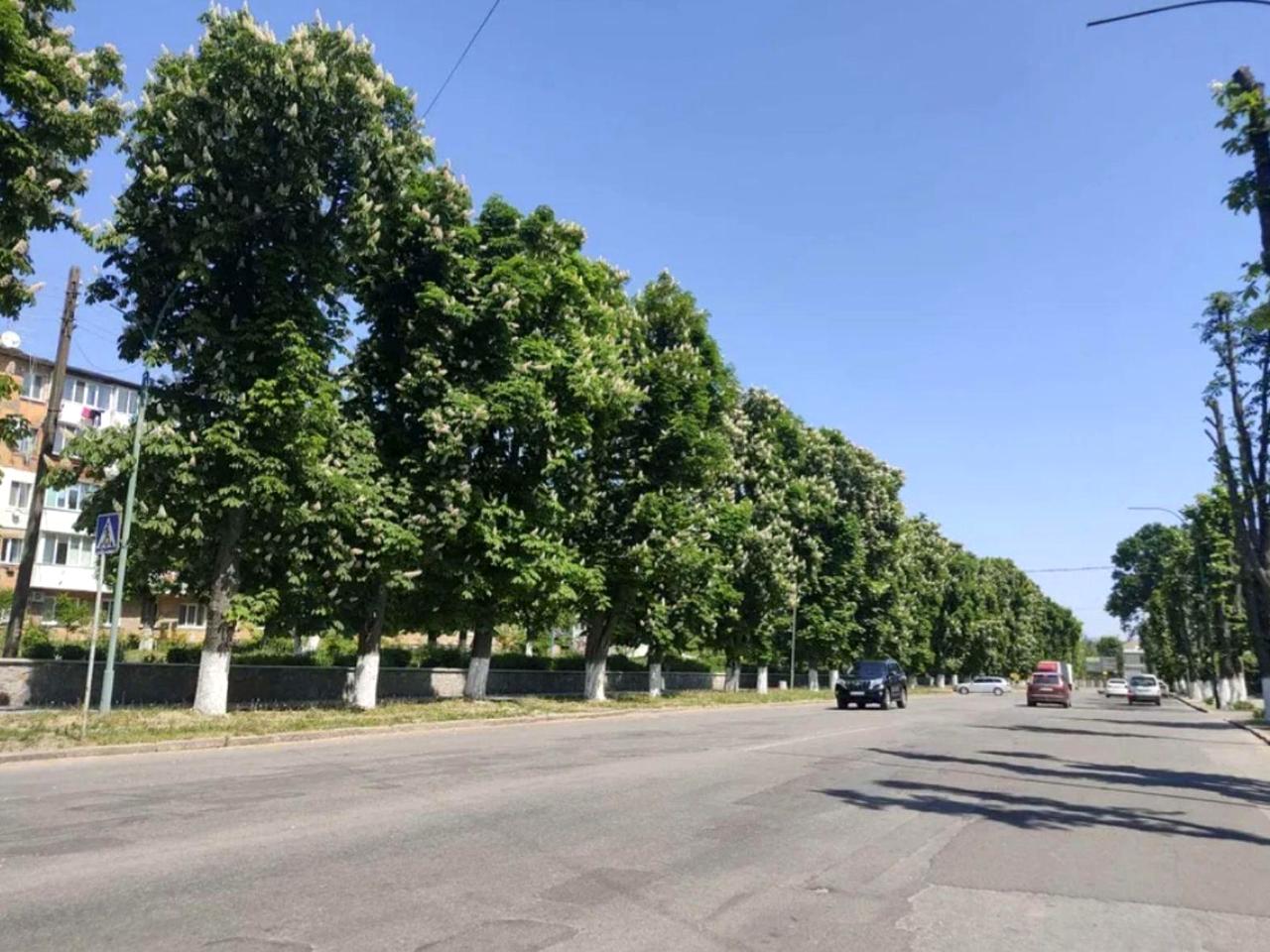 Столярчука вул., 48