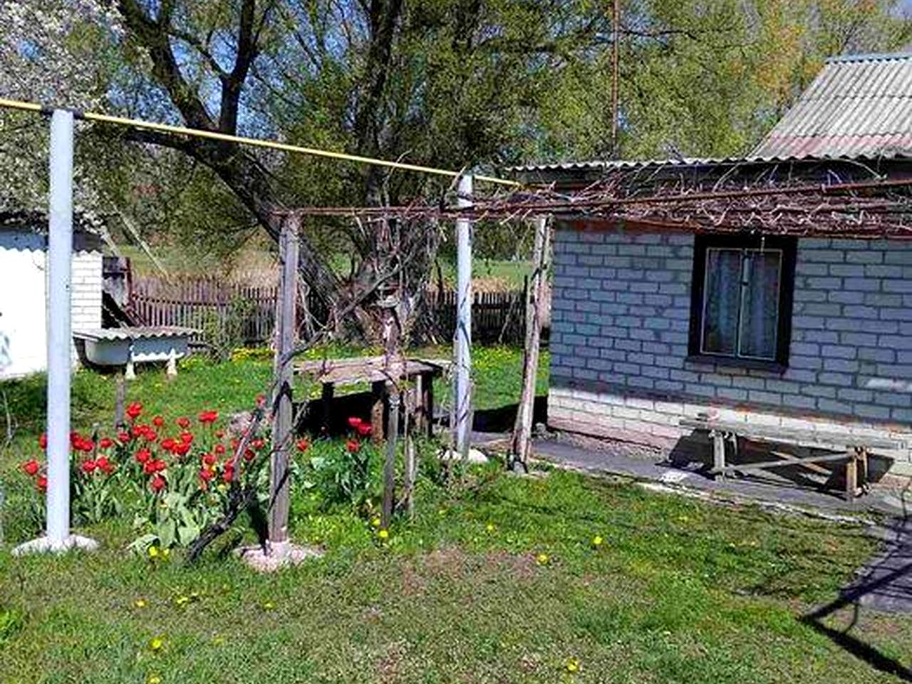 Продам дом в Солоницевке (169223)