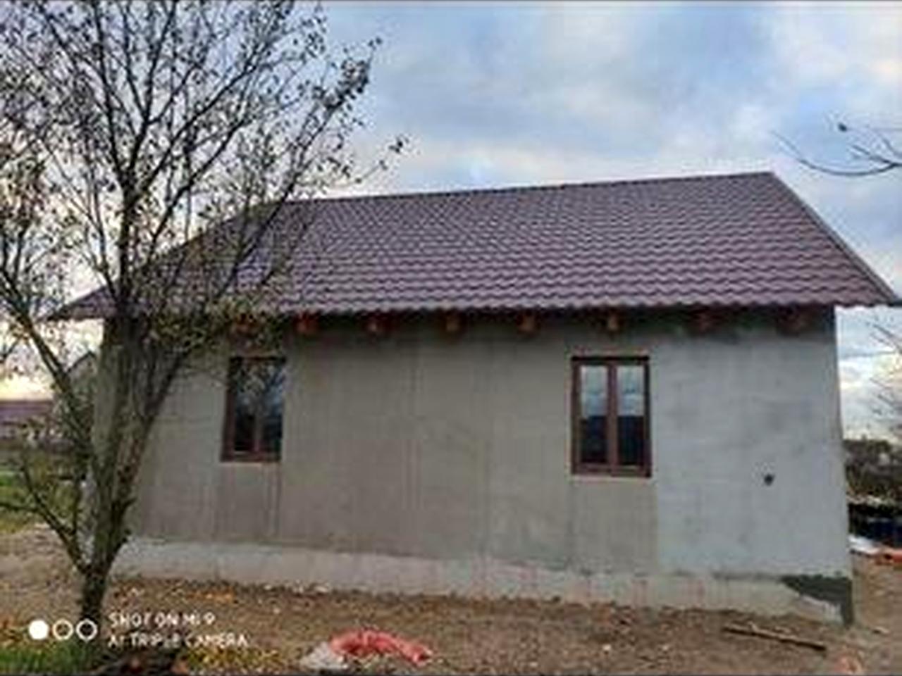 Селичівка біля лісу