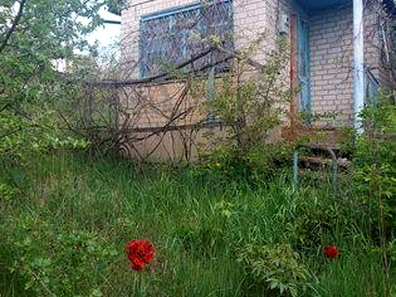Продам дачу в Солоницевке