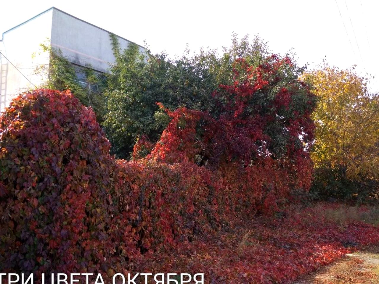 Срочно продается дом