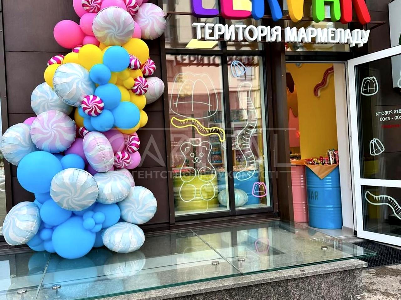 Вячеслава Чорновола вул., 2