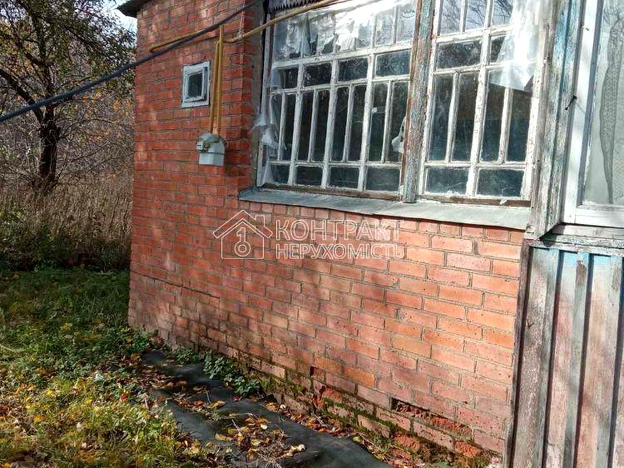 лісний