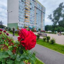 Вулиця