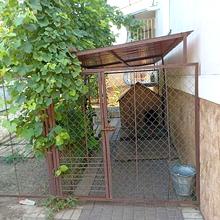 Вулиця 