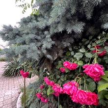 Вулиця